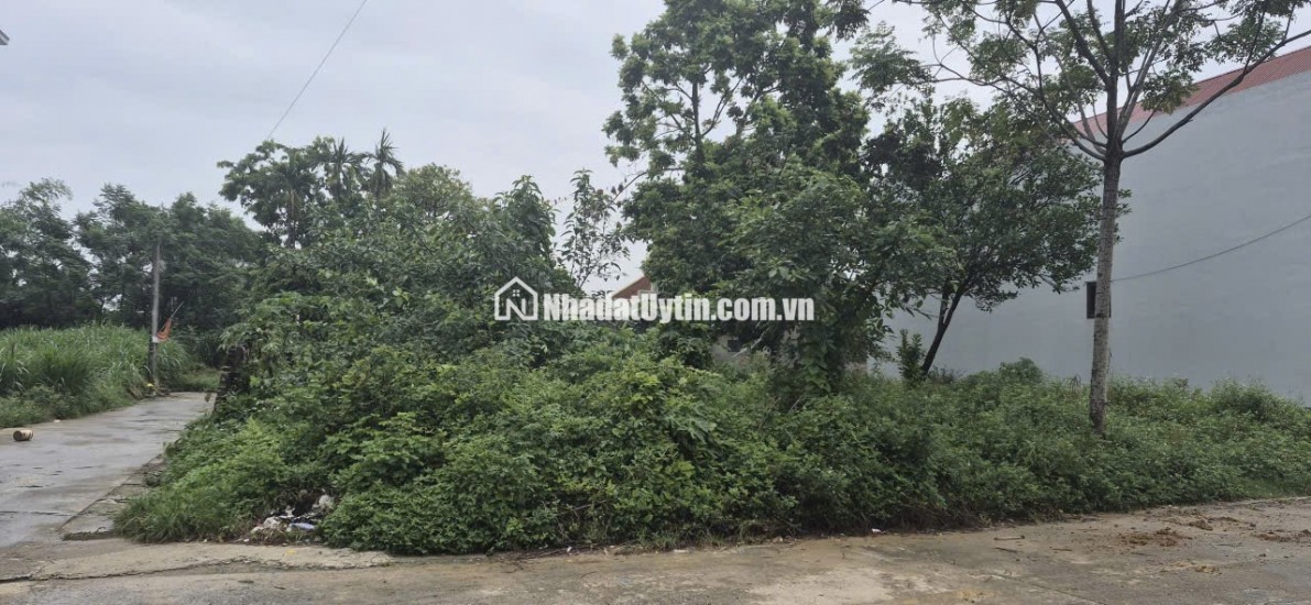 Bán mảnh đất 85,6 m² chính chủ tại Đội 1, Đông Hạ, Đông Yên, Quốc Oai.