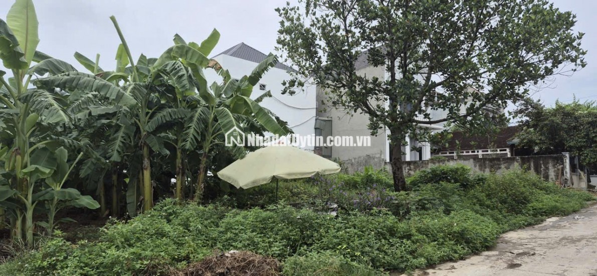 CHÍNH CHỦ BÁN ĐẤT ĐÔNG YÊN - QUỐC OAI