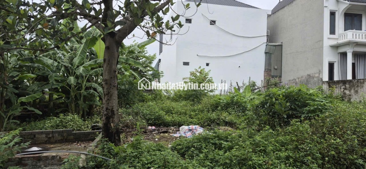 Bán mảnh đất 85,6 m² chính chủ tại Đội 1, Đông Hạ, Đông Yên, Quốc Oai.