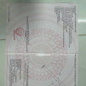BÁN ĐẤT 3 CÔNG ĐẤT XÃ MỸ HOÀ HƯNG, TP LONG XUYÊN SHR CHỈ 750 TRIỆU. LH:0977226448