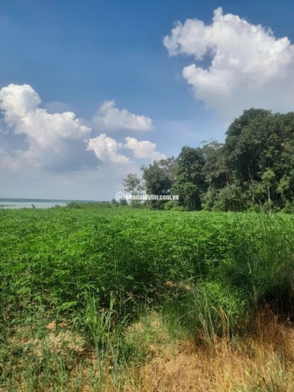 Bán đất xã Minh Hòa view Hồ Dầu Tiếng Bình Dương giá 47 tỷ