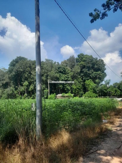 Bán đất xã Minh Hòa view Hồ Dầu Tiếng Bình Dương giá 47 tỷ