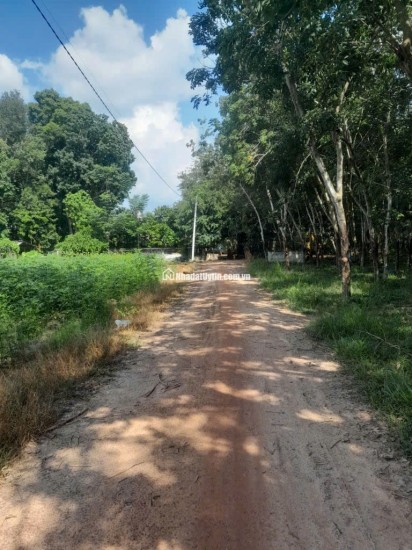 Bán đất xã Minh Hòa view Hồ Dầu Tiếng Bình Dương giá 47 tỷ