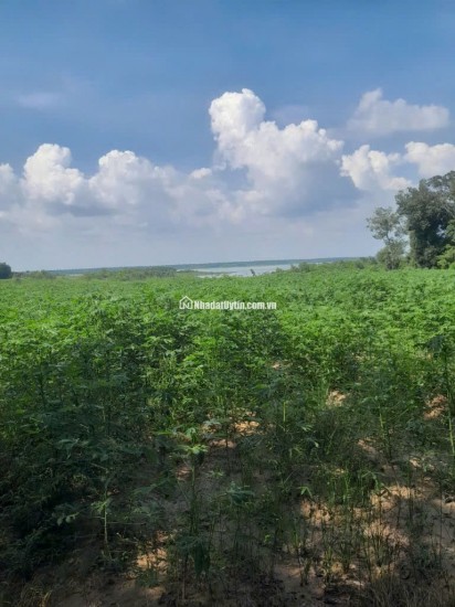 Bán đất xã Minh Hòa view Hồ Dầu Tiếng Bình Dương giá 47 tỷ