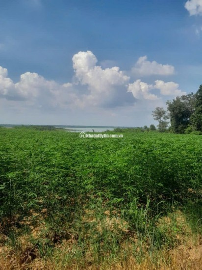 Bán đất xã Minh Hòa view Hồ Dầu Tiếng Bình Dương giá 47 tỷ