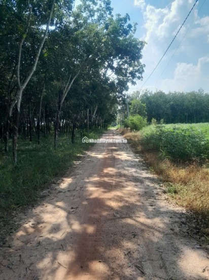 Bán đất xã Minh Hòa view Hồ Dầu Tiếng Bình Dương giá 47 tỷ