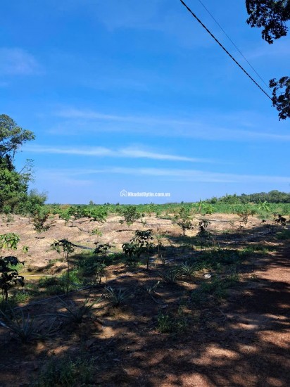 Bán đất xã Minh Hòa view Hồ Dầu Tiếng Bình Dương giá 47 tỷ