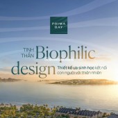 SAO PHẢI CHI 15 TỶ MUA CHUNG CƯ NỘI ĐÔ KHI CHỈ TỪ 5,5 TỶ ĐÃ SỞ HỮU DINH THỰ 3PN SÁT BIỂN?