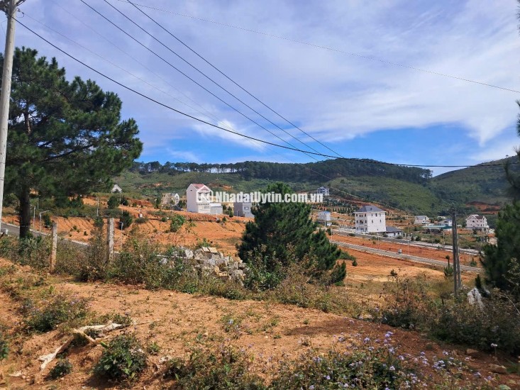 Bán Đất Lớn Lang biang 53,000 m2