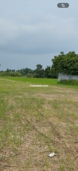CHO THUÊ 5000M2 MẶT TIỀN QL50 LÀM BÃI XE NHÀ XƯỞNG KHO LẠNH 0901651234.
