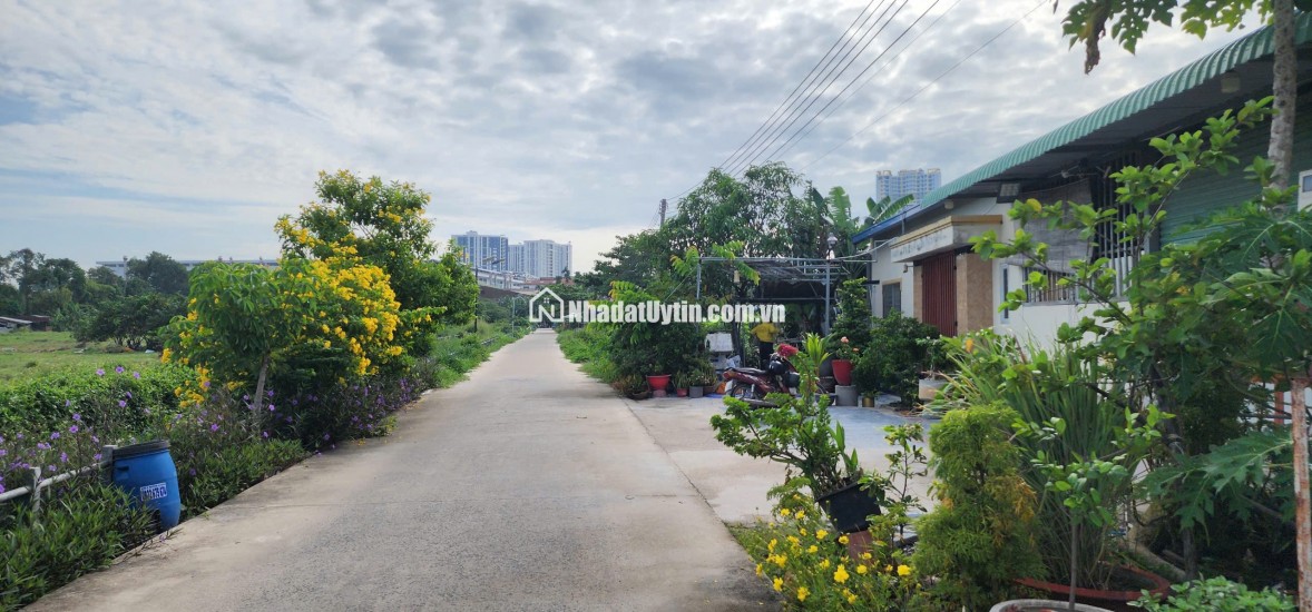 Bán gấp đất Hưng Định, Thuận An, 281m2, ngang 14m, hướng Đông Nam, sổ đỏ chính chủ, giá 4,8 tỷ. LH: 0987684919