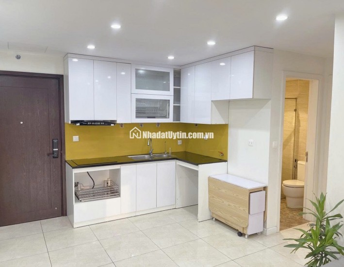 16,5tr thuê 1N+1 Vinhomes D'Capitale 52m² - sẵn chỗ làm việc