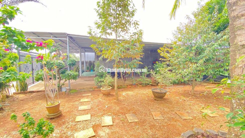 Nhà thuộc phú hội cũ - đức trọng / lâm đồng – khu dân cư