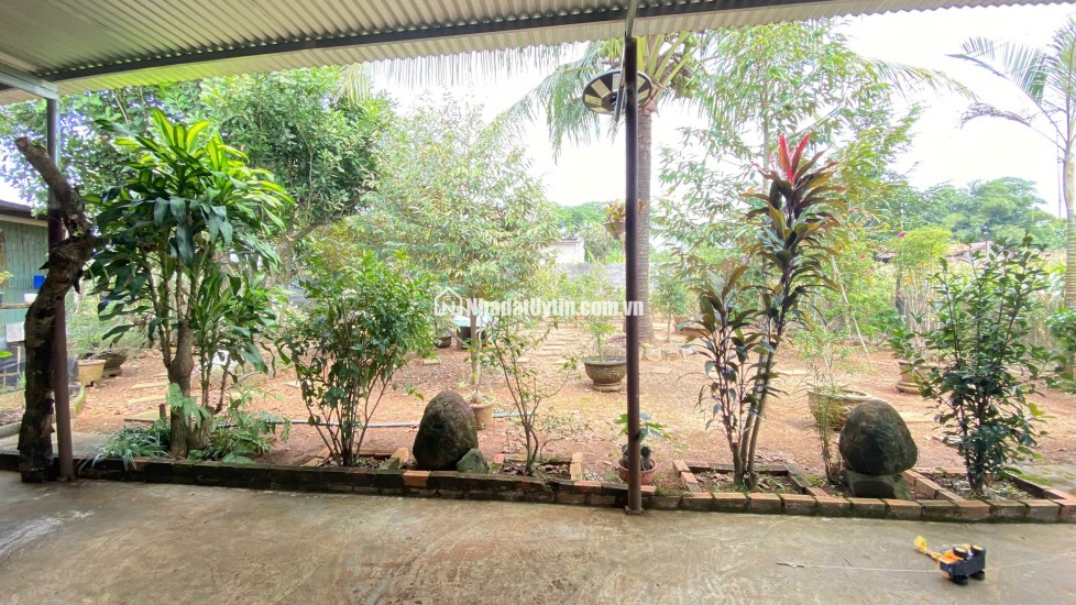 Nhà thuộc phú hội cũ - đức trọng / lâm đồng – khu dân cư